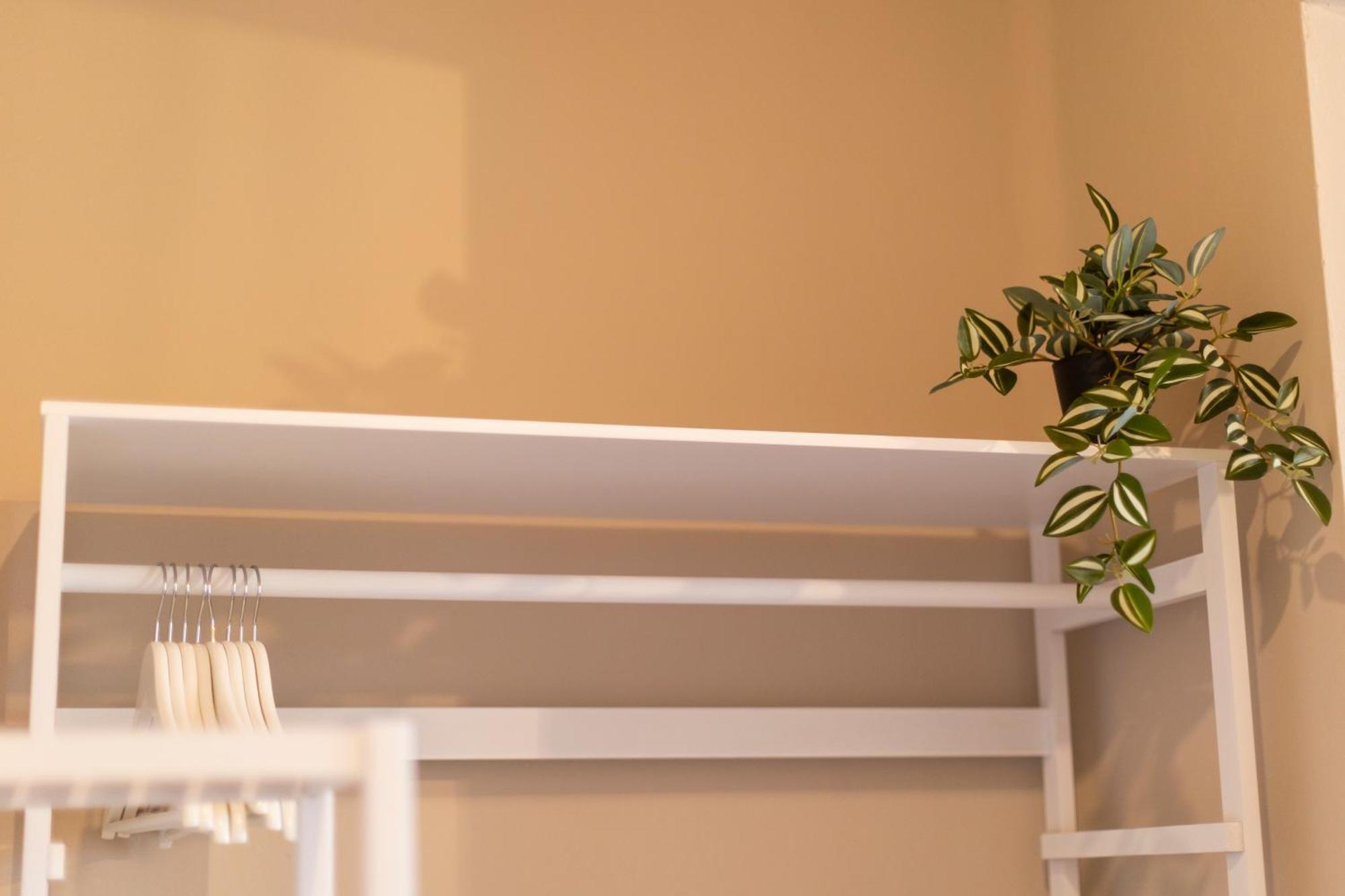 Apartamentos Gurugu ريباديو المظهر الخارجي الصورة